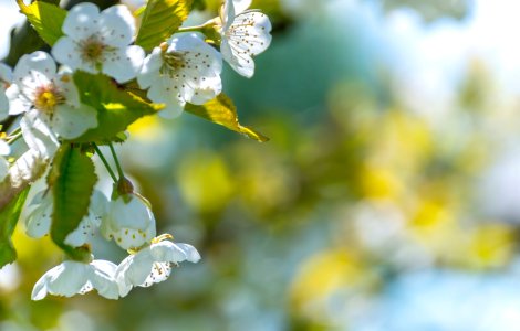 Prognoza meteo, 12 aprilie 2021. Vreme caldă, specifică acestei perioade