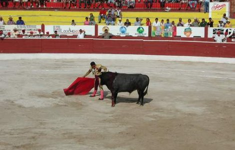  Video  Toreador de 12 ani, luat in coarne de un taur