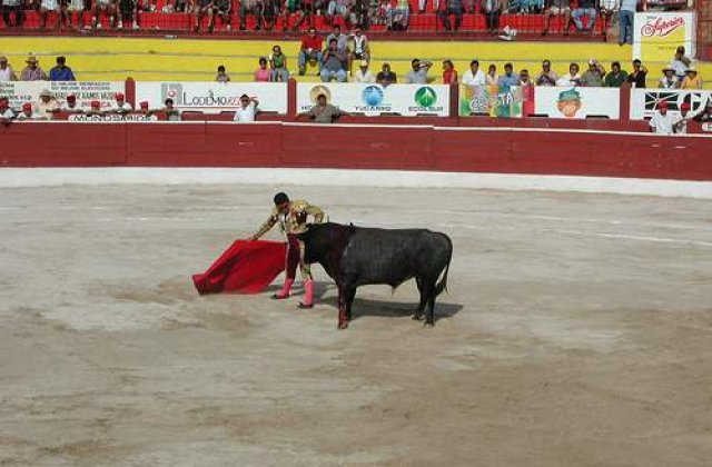 [VIDEO] Toreador de 12 ani, luat in coarne de un taur