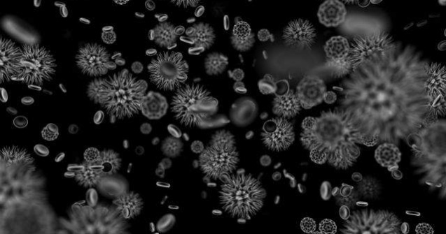 Epidemie de enterovirus intr-un azil de batrani din Canada: 9 morti