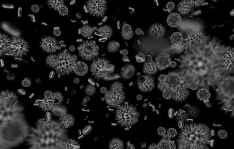 Epidemie de enterovirus intr-un azil de batrani din Canada: 9 morti