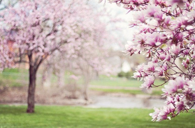 Prognoza meteo - 13 aprilie. Valorile termice vor fi apropiate de cele specifice pentru această perioadă