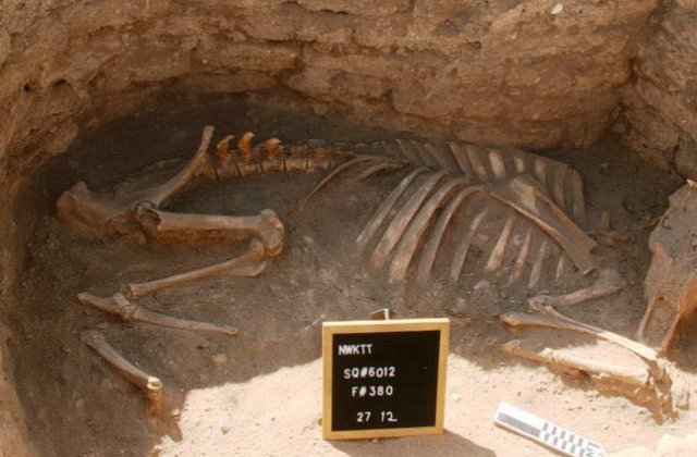 FOTO Arheologii au descoperit cel mai mare oraș antic din Egipt