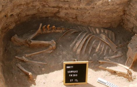 FOTO Arheologii au descoperit cel mai mare oraș antic din Egipt