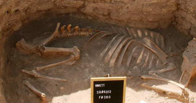 FOTO Arheologii au descoperit cel mai mare oraș antic din Egipt