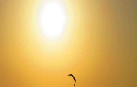 Meteo: Vreme caniculara in weekend