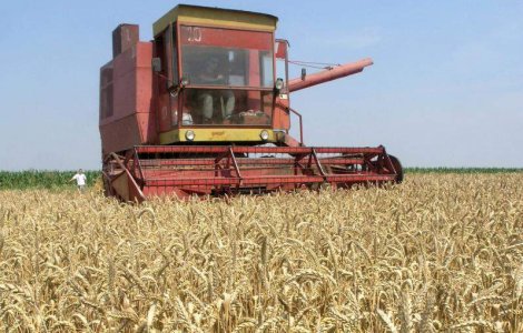 Romania a exportat doua milioane de tone de produse agroalimentare