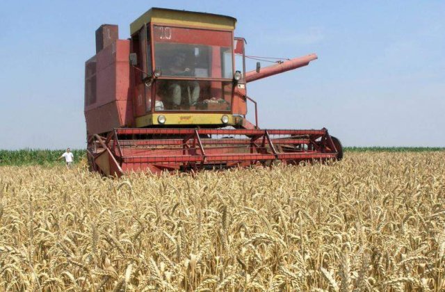 Romania a exportat doua milioane de tone de produse agroalimentare