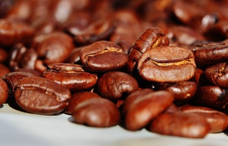  Top  Alimente care dispar din cauza schimbărilor climatice