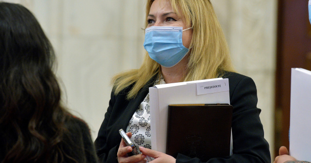 Anca Dragu: Guvernul care a deschis drumul către UE a fost cel condus de Năstase