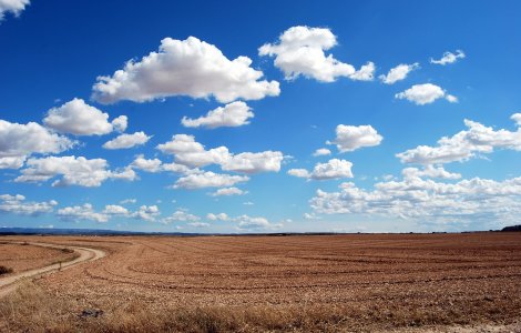 Peste 100.000 de hectare de teren vor fi însămânţate în campania agricolă