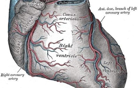Cine are grija de bataile inimii noastre?