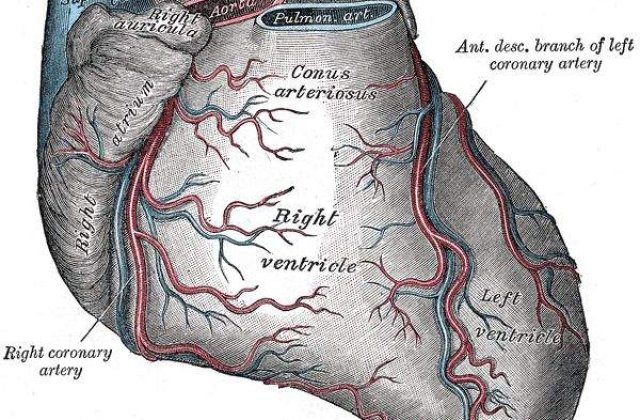Cine are grija de bataile inimii noastre?