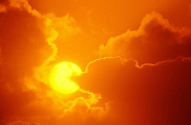 Cod galben de canicula in vestul tarii