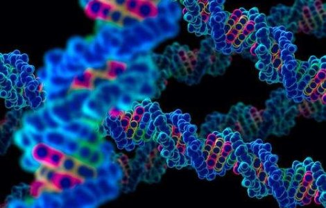 Dosarul traficului cu celule: Sase persoane, trimise in judecata