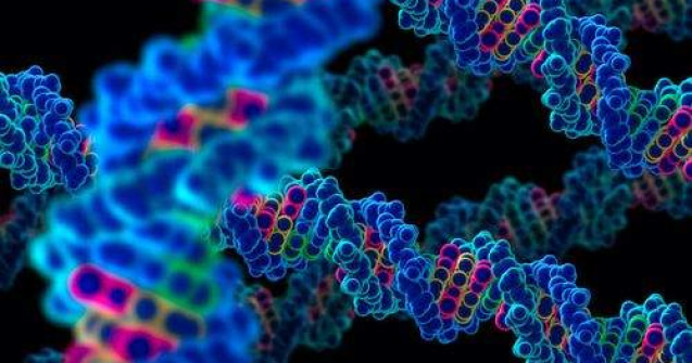 Dosarul traficului cu celule: Sase persoane, trimise in judecata