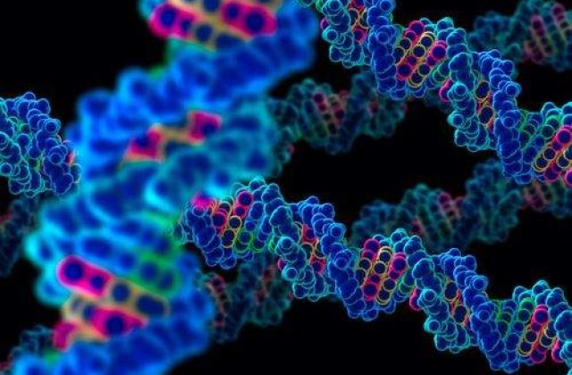 Dosarul traficului cu celule: Sase persoane, trimise in judecata