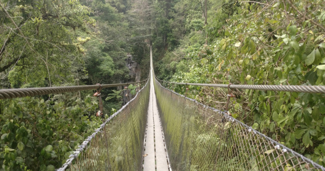 A fost inaugurat cel mai lung pod pietonal suspendat din lume!