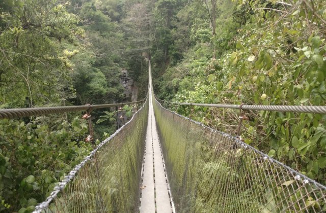 A fost inaugurat cel mai lung pod pietonal suspendat din lume! În ce țară se află acesta