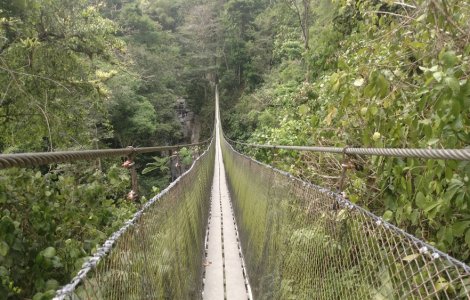 A fost inaugurat cel mai lung pod pietonal suspendat din lume!