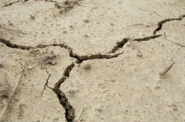 Cutremur de 5,9 grade in Mexic