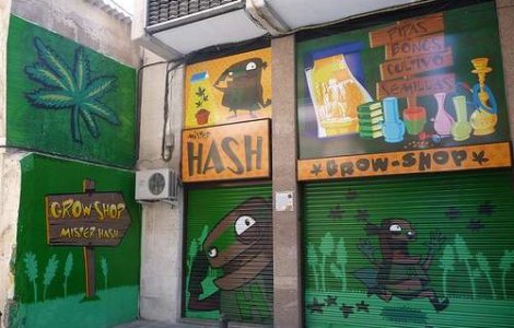 Intoxicatiile cu etnobotanice au devenit un fenomen in Romania