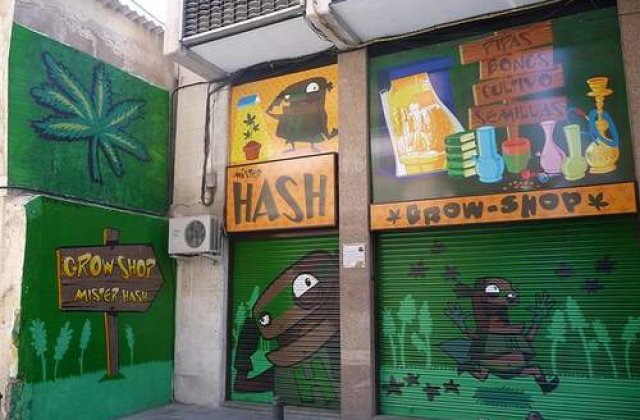 Intoxicatiile cu etnobotanice au devenit un fenomen in Romania