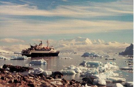 Whisky vechi de un secol, gasit in Antarctica