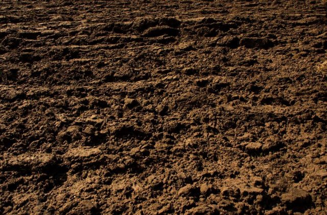 California: Torentele de noroi provoaca panica in randul americanilor