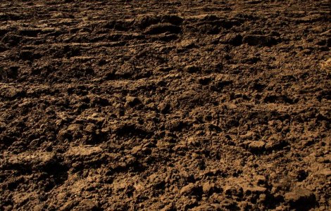 California: Torentele de noroi provoaca panica in randul americanilor