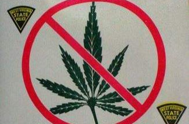 Guvernul a interzis 36 de plante si substante etnobotanice