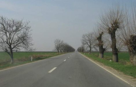 Primul drum construit in Prahova dupa 1989, facut din fonduri private