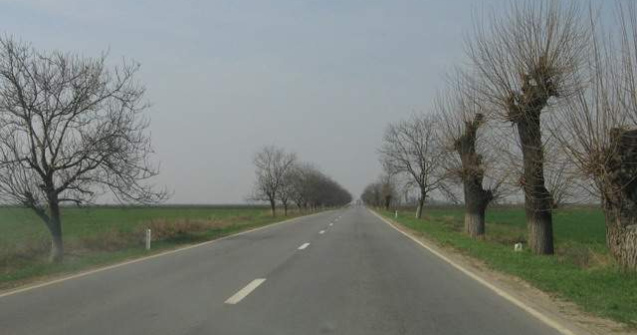 Primul drum construit in Prahova dupa 1989, facut din fonduri private