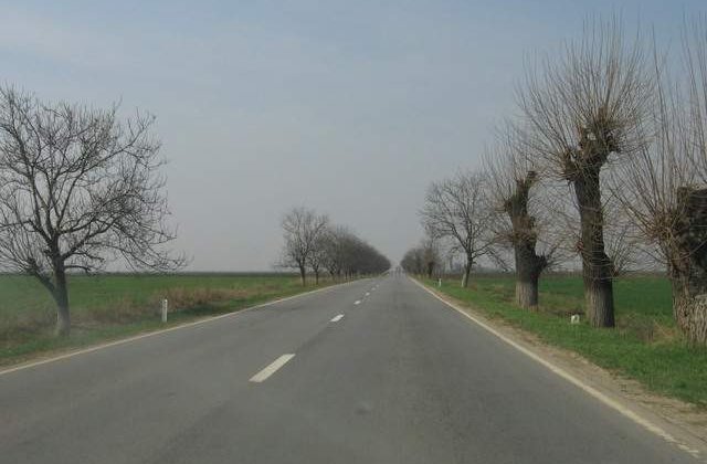 Primul drum construit in Prahova dupa 1989, facut din fonduri private