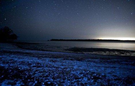  Top  Cele mai ciudate lacuri din lume