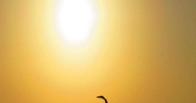 Prognoza meteo: Cum va fi vremea la inceputul saptamanii