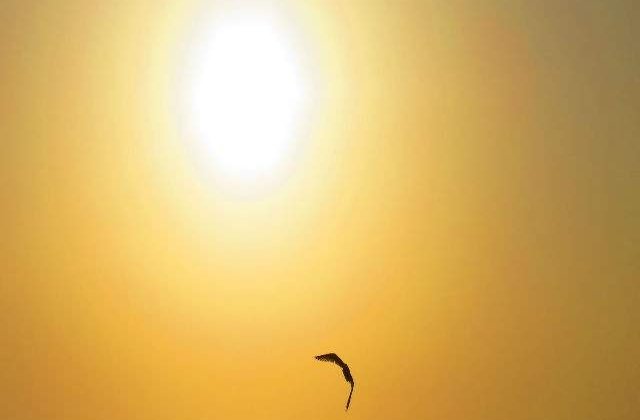 Prognoza meteo: Cum va fi vremea la inceputul saptamanii