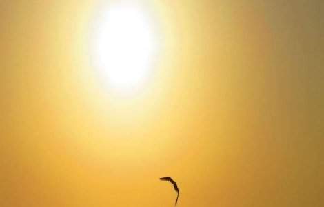 Prognoza meteo: Cum va fi vremea la inceputul saptamanii