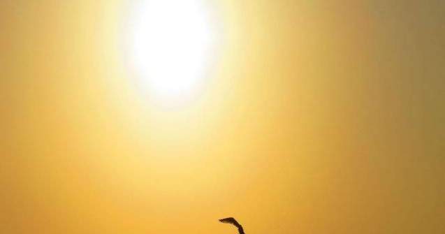 Prognoza meteo: Cum va fi vremea la inceputul saptamanii