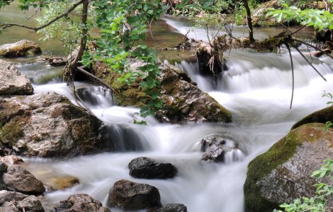 Poluare masivă cu amoniac în pârâul Bicaz. Păstrăvii din 5 bazine au murit