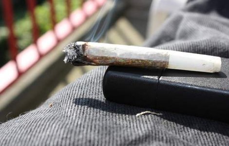 Comerciantii de plante halucinogene vor sa dea in judecata Guvernul