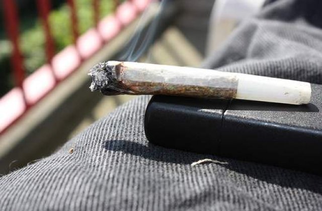 Comerciantii de plante halucinogene vor sa dea in judecata Guvernul