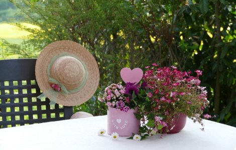  Top  Plante parfumate pe care le poți crește în apartament