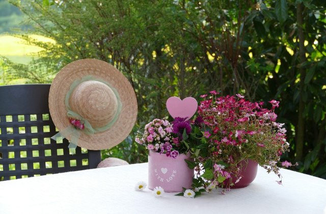 Bucură-te de mirosul placut al florilor! Plante parfumate pe care le poți crește în apartament