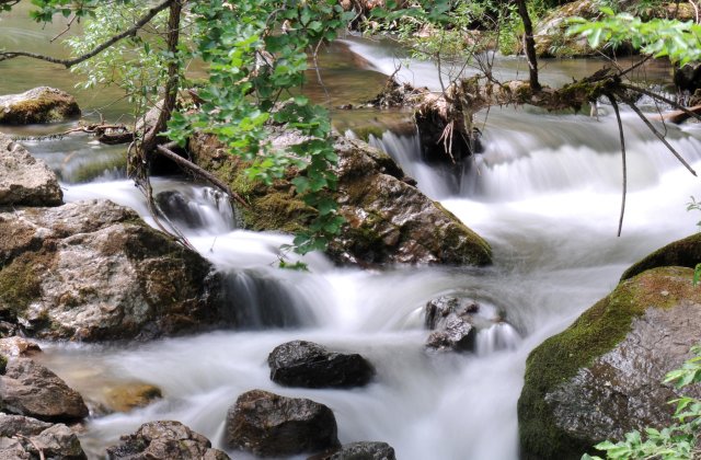 Apele Române a aplicat o amendă de 160.000 lei pentru poluarea masivă cu amoniu din râul Bicaz