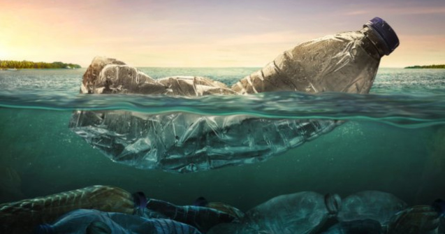 Franța: 16 kilograme de deşeuri plastice, găsite în stomacul unei balene