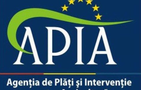 Directorul general adjunct al APIA, arestat preventiv