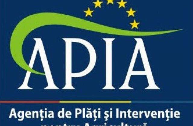Directorul general adjunct al APIA, arestat preventiv
