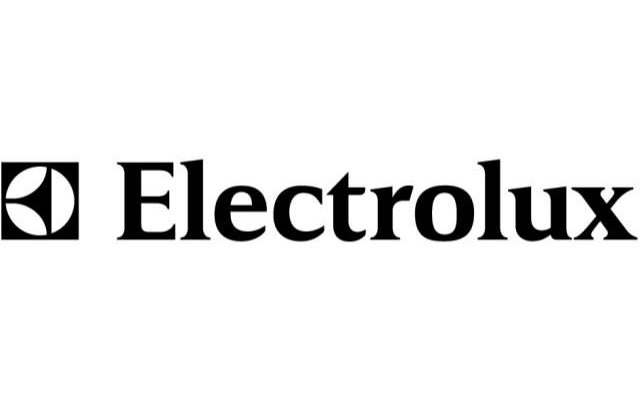 Electrolux isi inchide provizoriu uzinele din Egipt din cauza violentelor