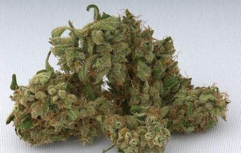 Razie nationala in magazinele de etnobotanice